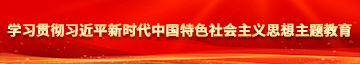 日韩大鸡吧操小逼学习贯彻习近平新时代中国特色社会主义思想主题教育